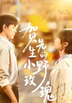 《贺先生的小野玫瑰》