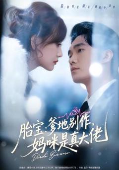 胎宝：爹地别作，妈咪是真大佬