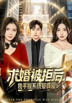 求婚被拒后，我手握系统娶真爱