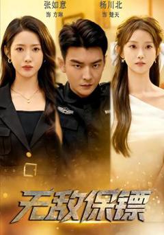 《无敌保镖》