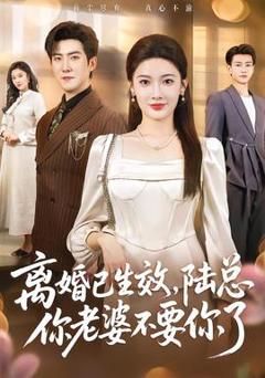 《离婚已生效，陆总你老婆不要你了》