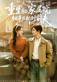 《重生80家属院，相亲匹配到前夫》