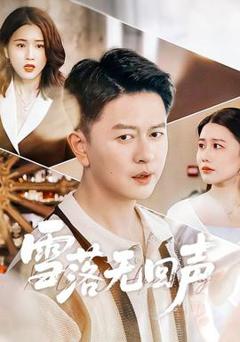 《雪落无回声》