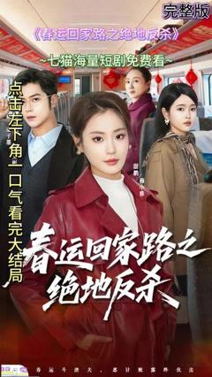 《春运回家路之绝地反杀》