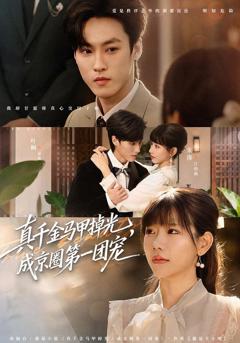 真千金马甲掉光，成京圈第一团宠