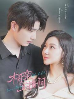 《相亲直播间》