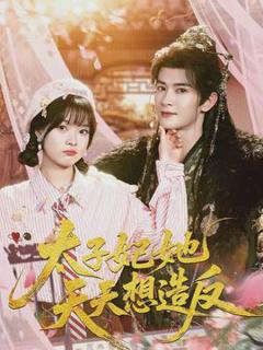 《太子妃她天天想造反》