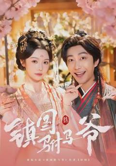 《镇国驸马爷》