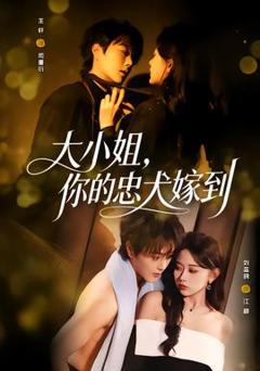 《大小姐，你的忠犬嫁到》