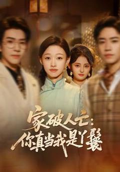 《家破人亡：你真当我是丫鬟啊》