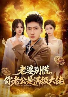 《老婆别慌，你老公是满级大佬》