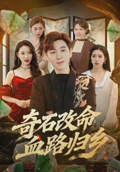 《奇石改命血路归乡》