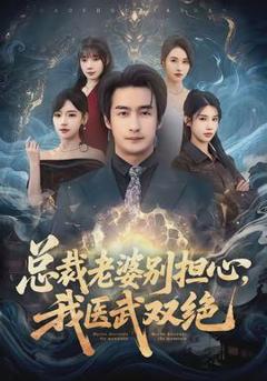 《总裁老婆别担心，我医武双绝》