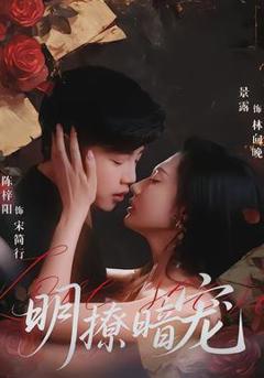 《明撩暗宠》
