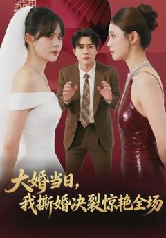 《大婚当日，我撕婚决裂惊艳全场》