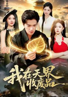 《我在天界收废品》