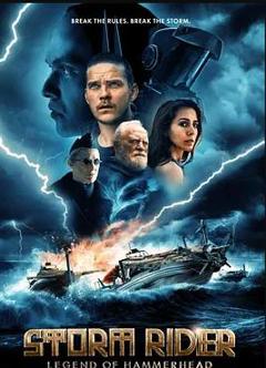 《风暴骑士：锤头鲨的传说》