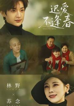 《迟爱不逢春》