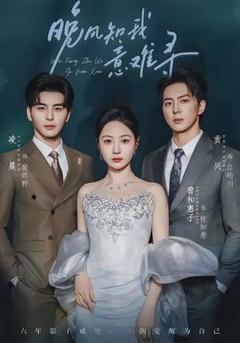 《晚风知我意难寻》