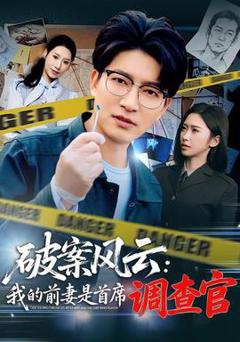 《破案风云：我的前妻是首席调查官》