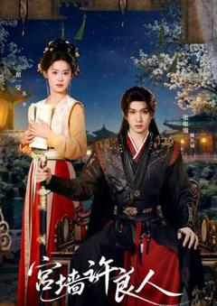 《宫墙许良人》