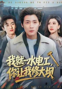 《我就一水电工，你让我修大坝》