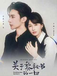 《关于黎秘书的一切》