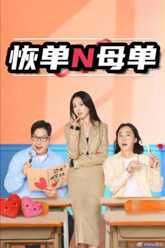 《恢单N母单》