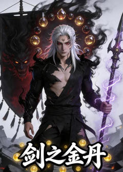 《剑之金丹》