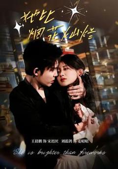 《她比烟花灿烂》