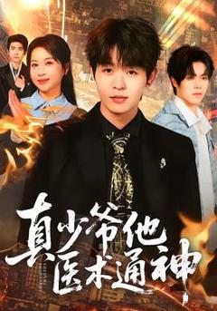 《真少爷他医术通神》