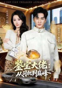 《鉴宝大佬： 从司机到巅峰》