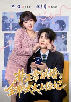 《非正常试婚：全职太太上位记》
