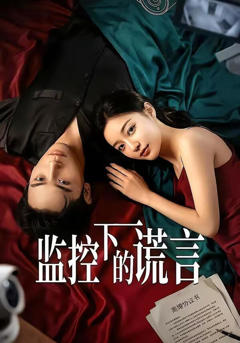 《监控下的谎言》