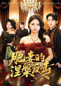 《肥妻的涅槃反击》
