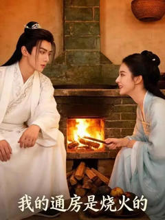 《我的通房是烧火的》