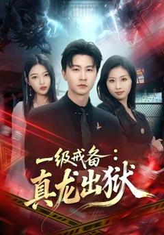 《一级戒备：真龙出狱》