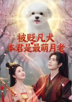 《被贬凡犬，本君是最萌月老》