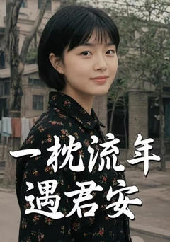 《一枕流年遇君安》