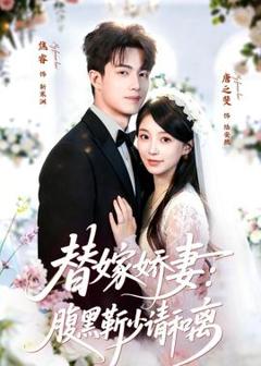 《替嫁娇妻：腹黑靳少请和离》