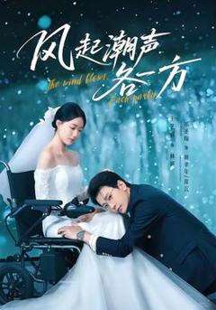 《风起潮声各一方》
