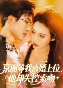 《京圈等我离婚上位，他却失控索吻》
