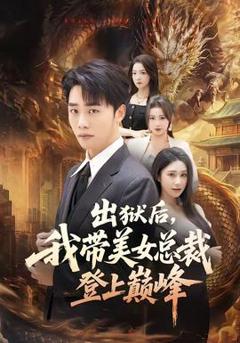《出狱后，我带美女总裁登上巅峰》