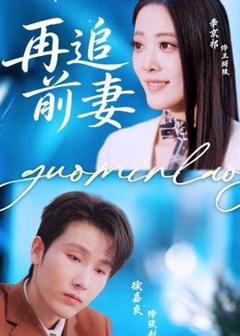 《再追前妻》
