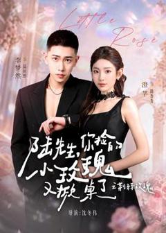 《陆先生，你捡的小玫瑰又掀桌了之荆棘玫瑰》