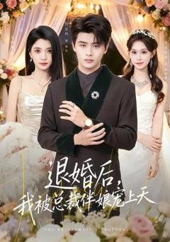 《退婚后，我被总裁伴娘宠上天》