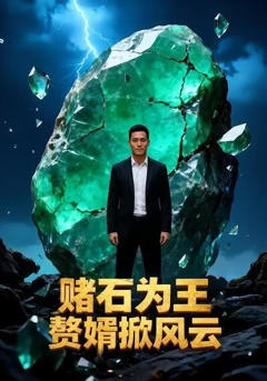 《赌石为王，赘婿掀风云》