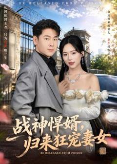 《战神悍婿，归来狂宠妻女》