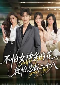 《不怕女神穿的花，就怕总裁二十八》