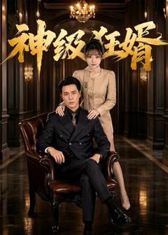 《神级狂婿》